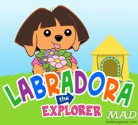/album/www-puppies-com/dora-jpg/