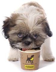 im eating icecream so what